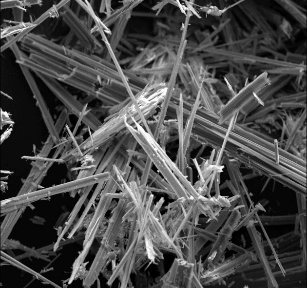 asbestos assessment
