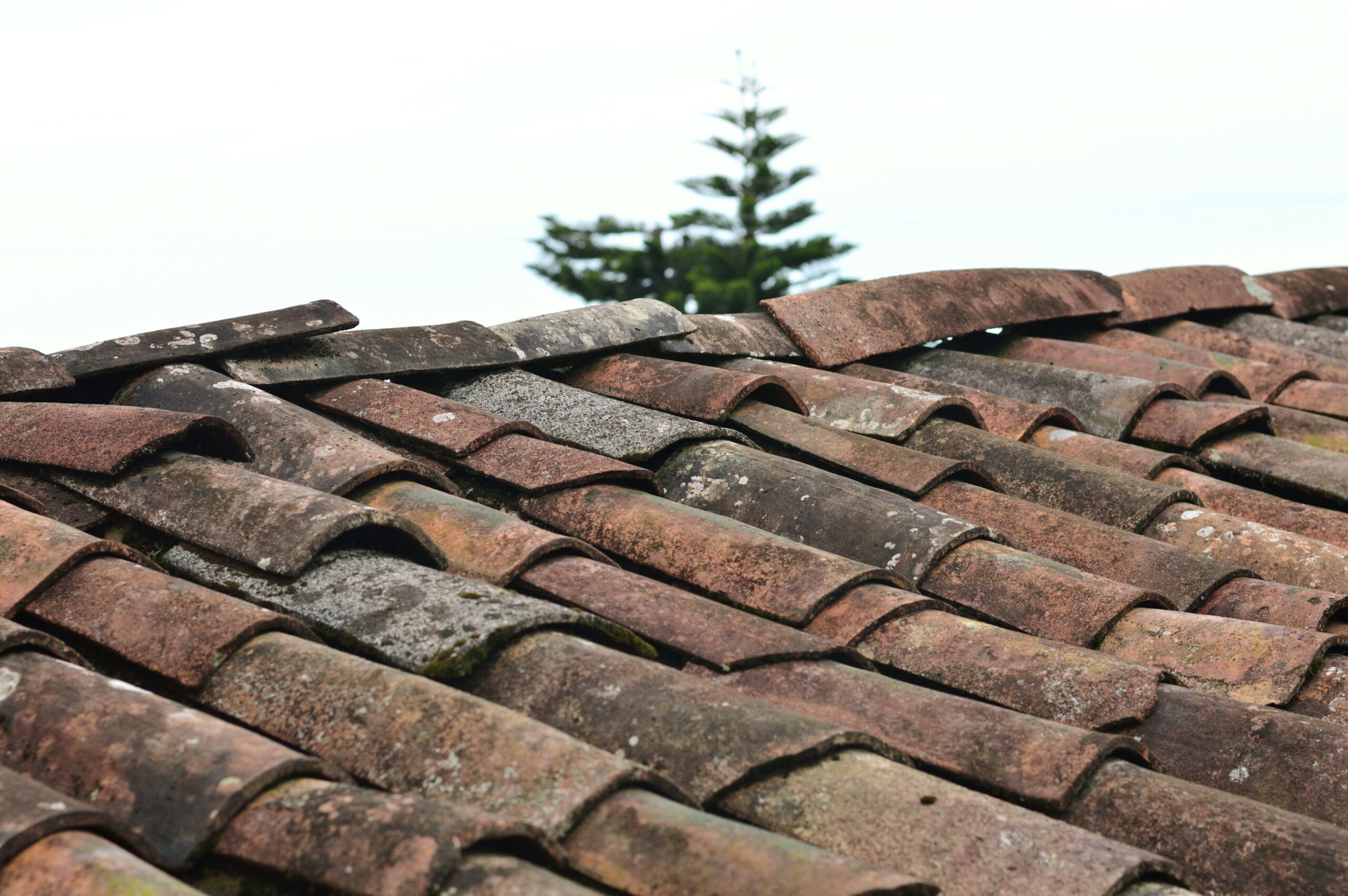 Is It Safe to Walk On An Asbestos Roof?